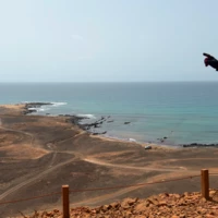 xlianagrey