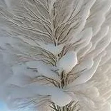 Vertigo_Sch89