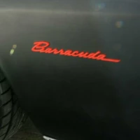 Barracuda81