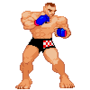 CroCop