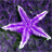 Tascha_85