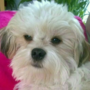Charly_Chaplin78