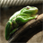 Pascal-g