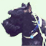 teddy_55
