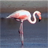 linuxfreund