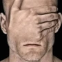 franknippes