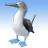 Rebert_K