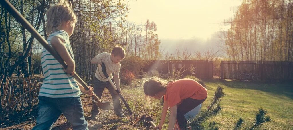 What’s the OVO Foundation?