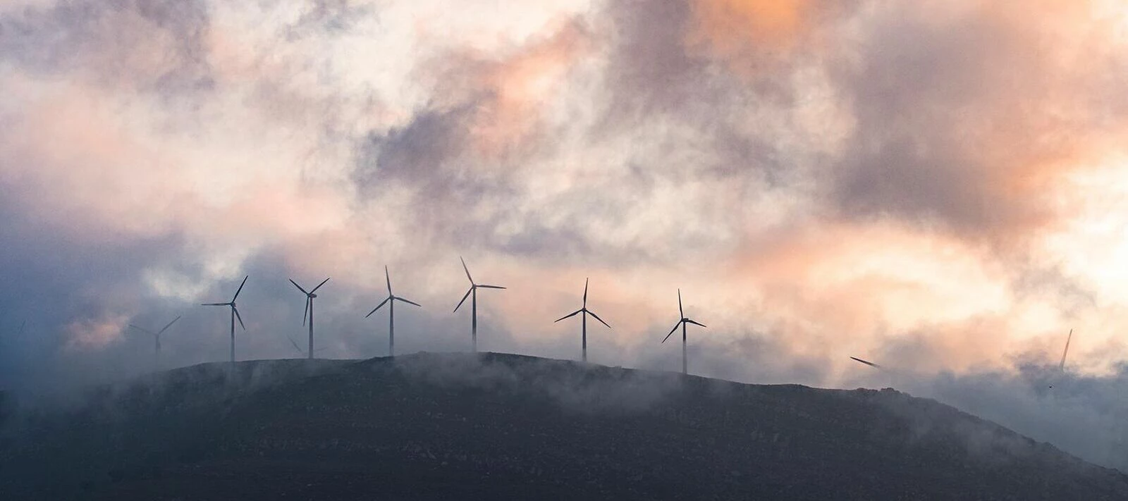 Power Move Flex - Frequently Asked Questions