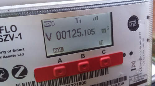 zomer Kinderdag bibliothecaris Gas supply into meter but house is off supply - question mark on display  screen of my SMETS2 UniFlo Flonidan smart meter? | The OVO Forum