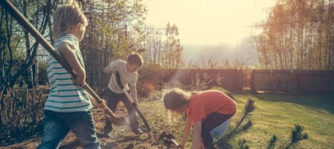 What’s the OVO Foundation?