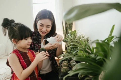 Have you checked out OVO Energy Tracker?