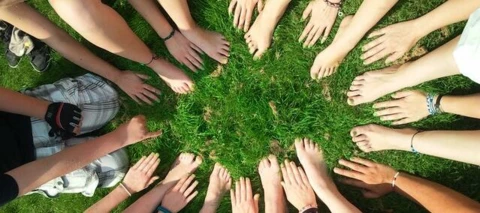 What kind of OVO online community member are you?