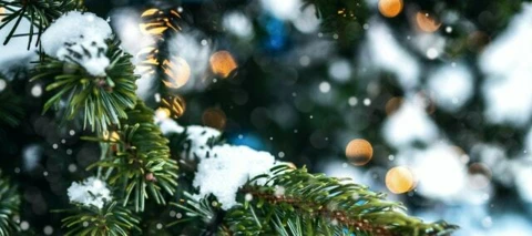 When is OVO open over the holidays?