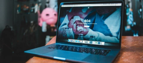 How to find bugs in just about anything! The secrets of bug hunting