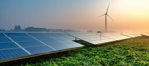 Power Move Flex - Summer Trial