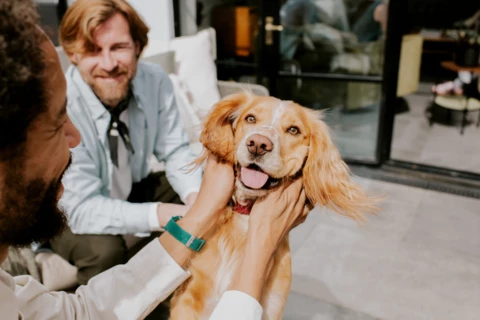 How to contact OVO - best practices and Data Protection How to contact OVO - best practices and Data Protection