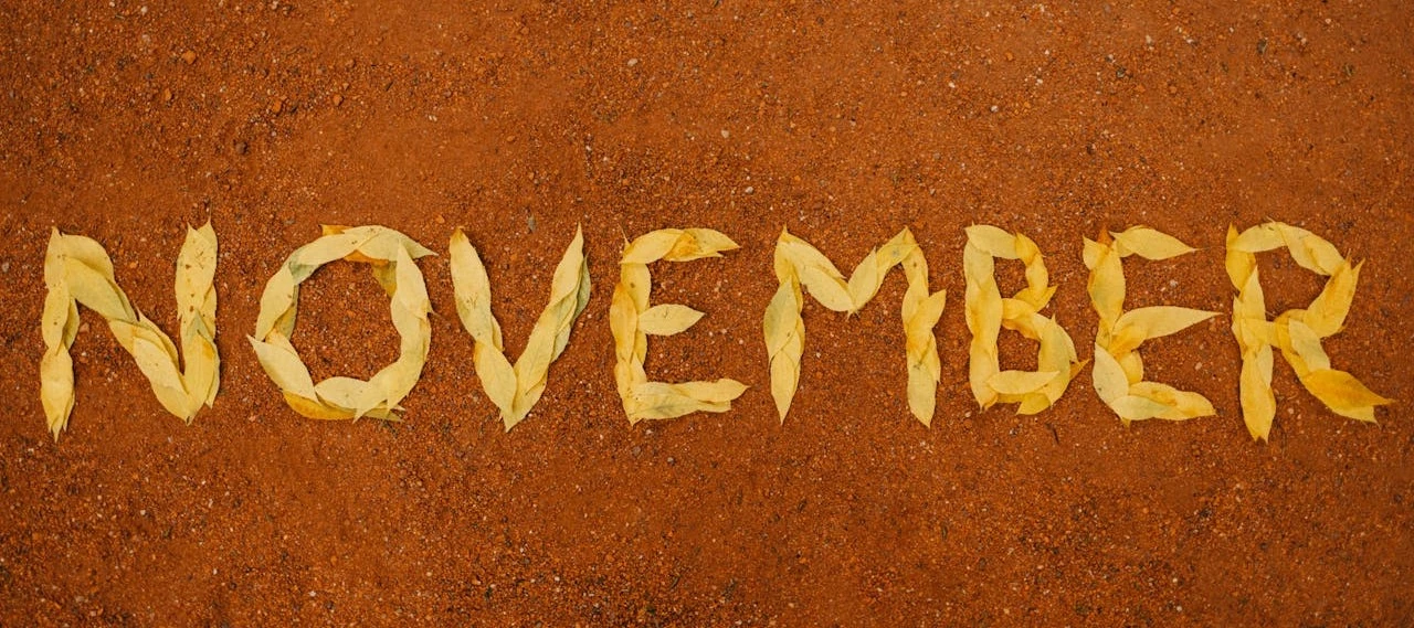 💥 Community Highlights: November 2024