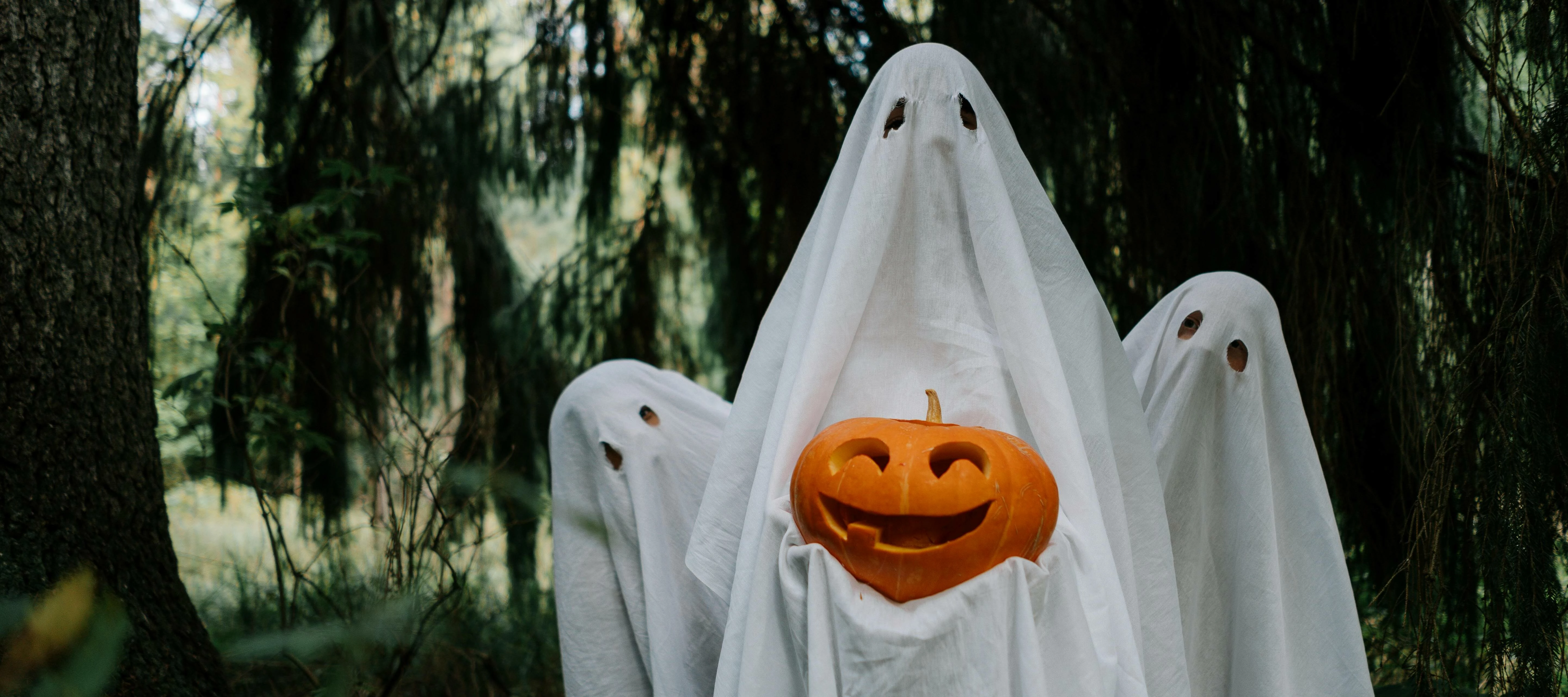 🎃 Trick or Treat: The Sweet Rewards and Bitter Challenges in HR