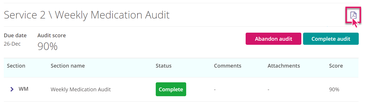 PDF icon on an audit.