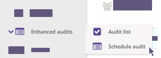 Enhanced audits to Schedule Audit options