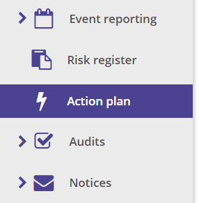 The Action Plan Icon