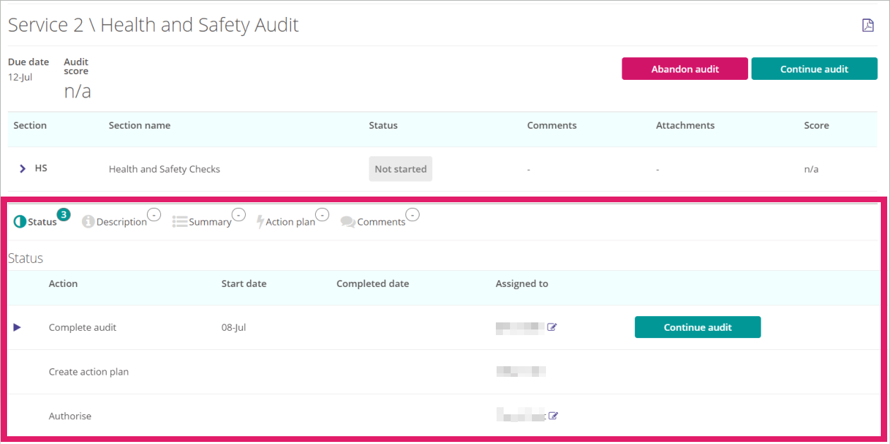 Audit status options.