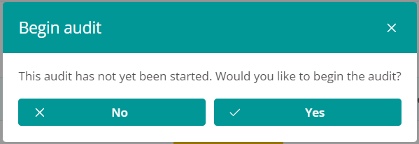 Confirmation to start the audit