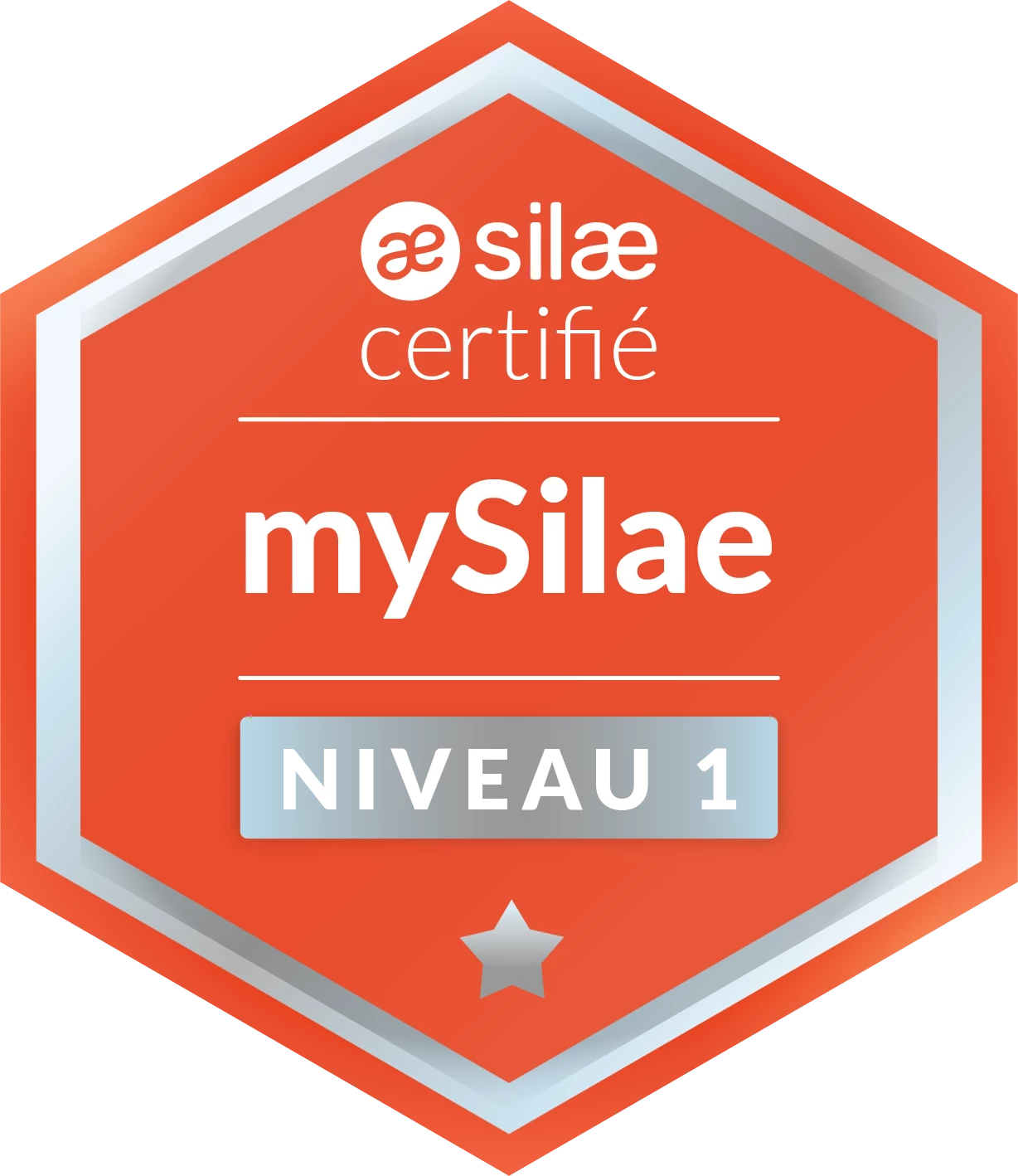 Certification Niveau 1