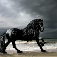 Friesian