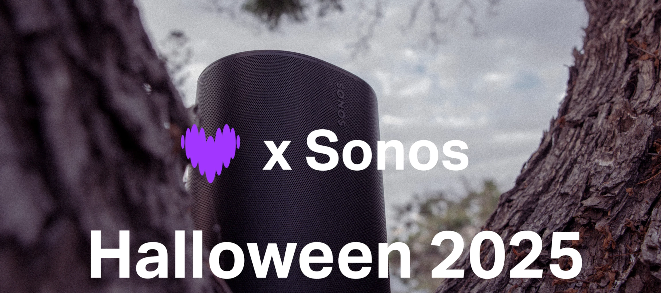 Erratet ihr das gruselige Albumcover?