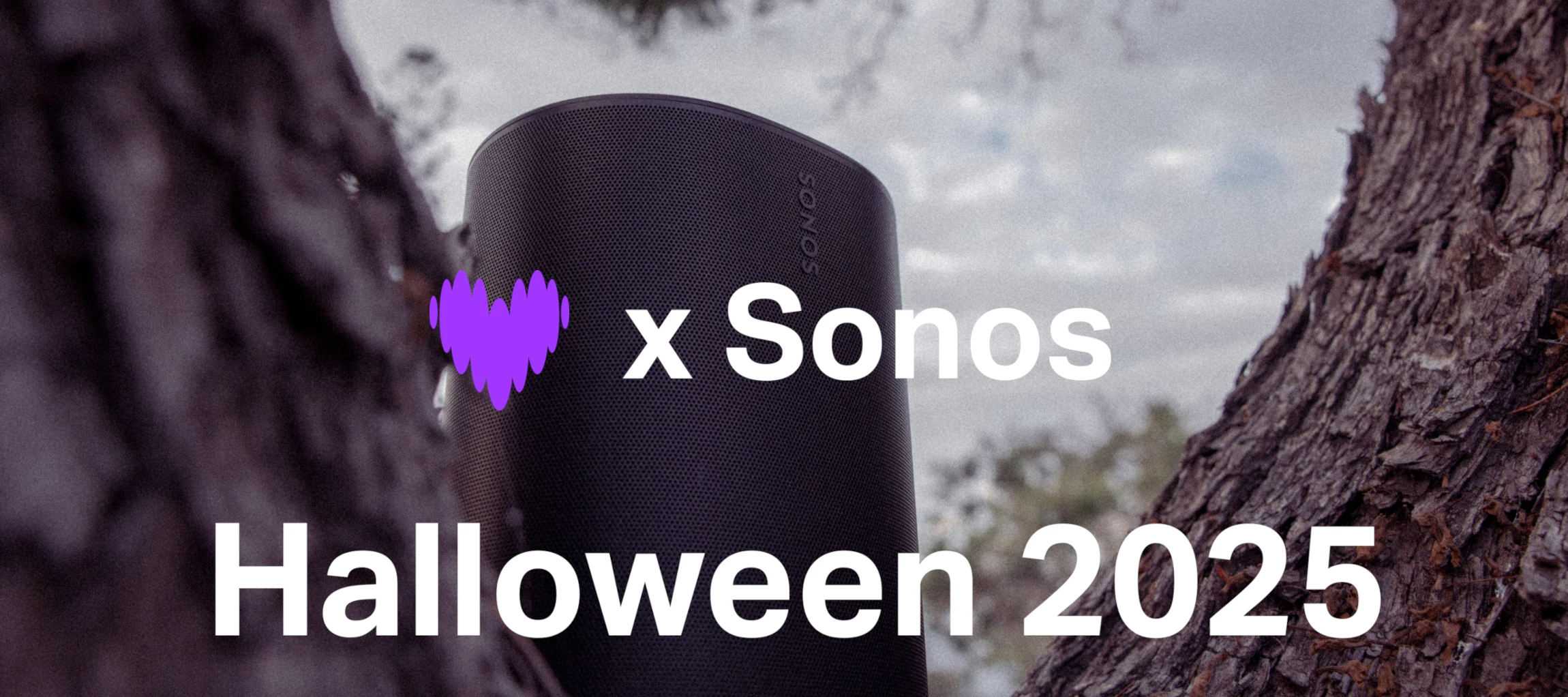 Zeit für das gruselige Kreuzworträtsel!