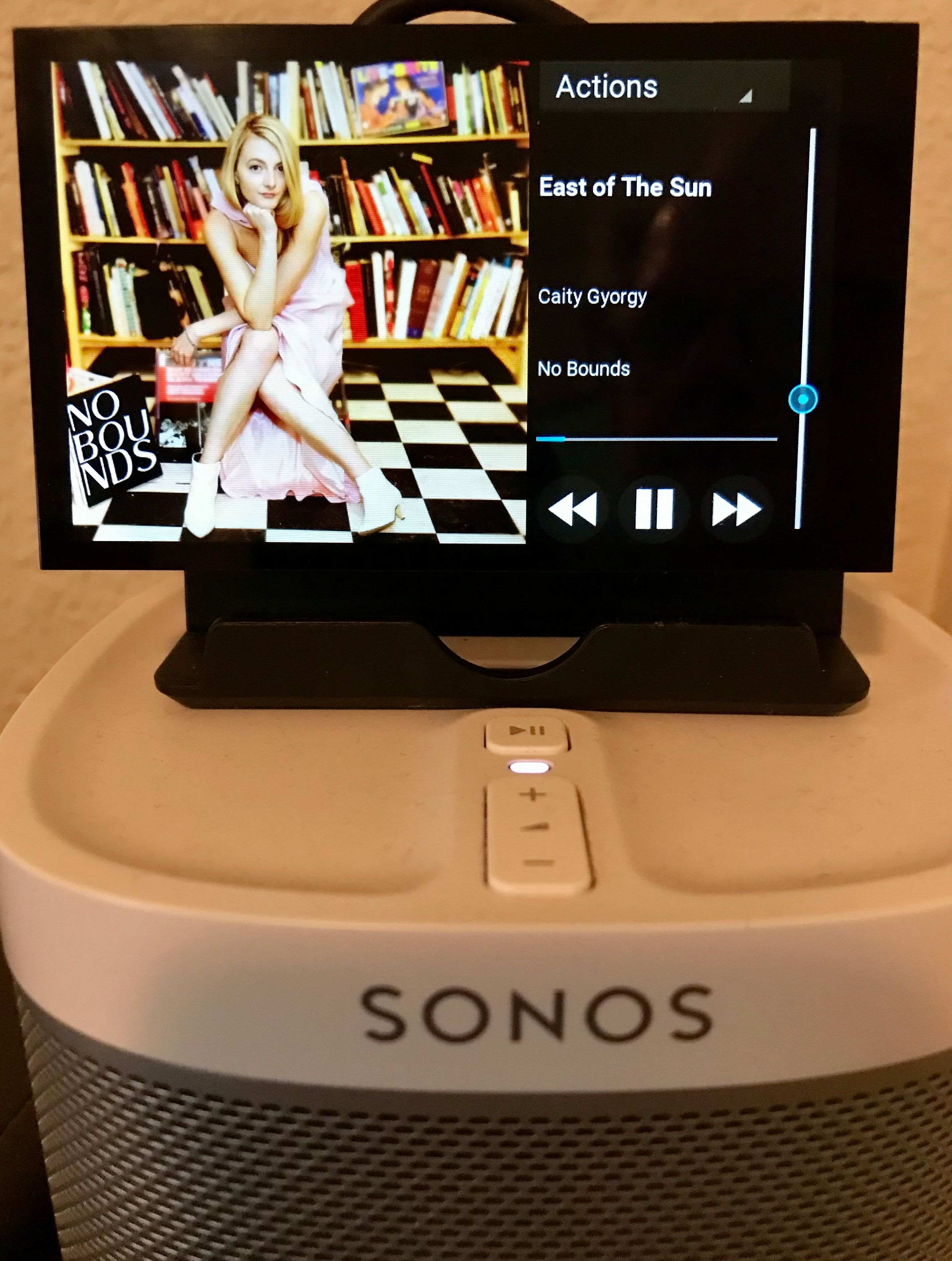 Referendum Bekritiseren Bij Sonos Touchscreen Controller | Sonos Community