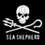 Seashepherd1