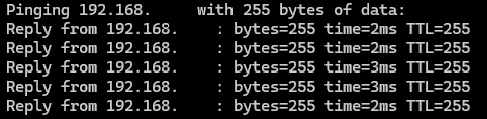 pitbull_1-1714993292056.png