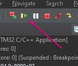Figure 28 – Resume icon