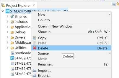 Removing Project from Workspace