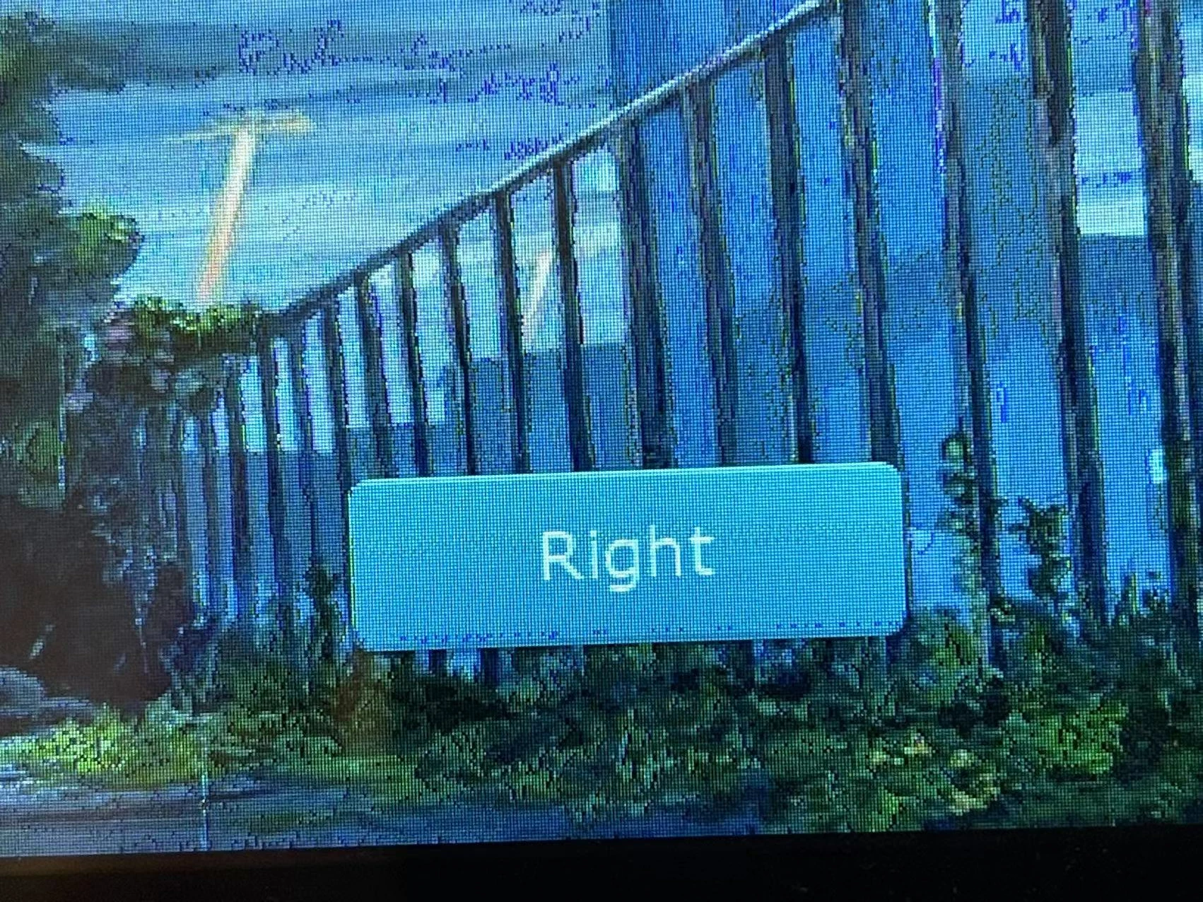 0693W00000GYL62QAH.jpg