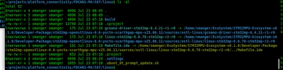 smanger_2-1753278332068.png
