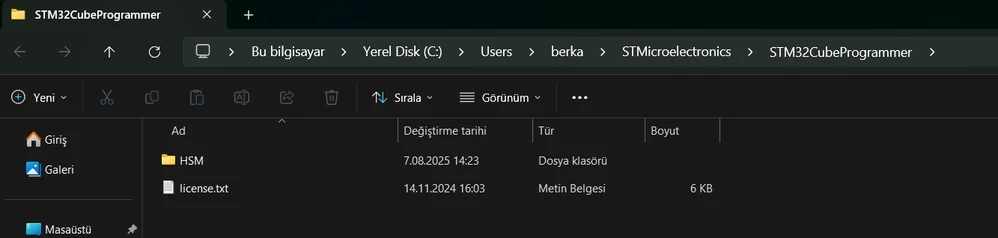 Ekran görüntüsü 2025-08-13 162859.png