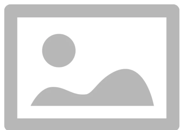 ChipCurious_0-1699552288944.png