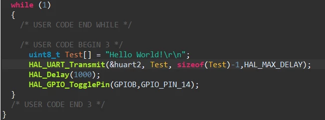 Code_while(1)_Loop.png