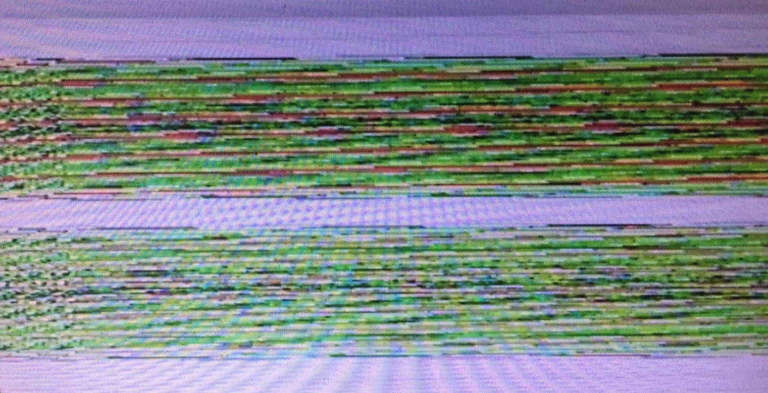 0693W00000WKGECQA5.jpg