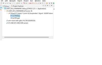 debug_entry.png