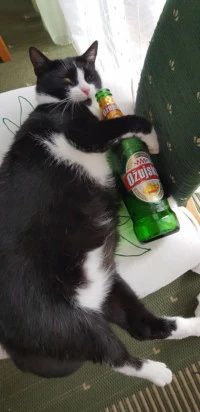 mrleongalaxyum