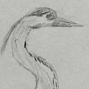 MatthiasJ
