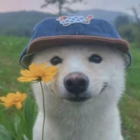 i_asta