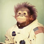 spaceMonkey77