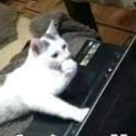 abdullah_almahdi
