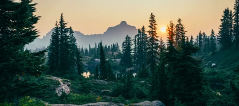 3 perfecte apps voor self-care!